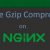 nginx支持gzip的格式