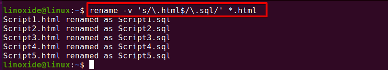 rename file using rename command -v option